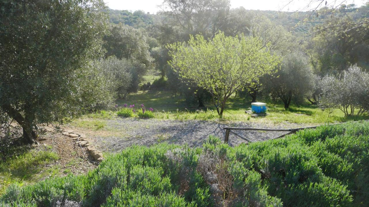 Tenuta Le Mandorlaie, Agriturismo In Scansano Εξωτερικό φωτογραφία