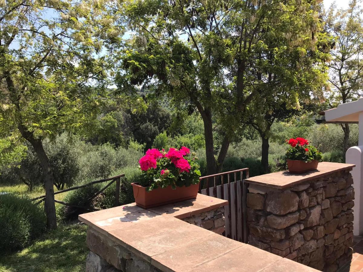 Tenuta Le Mandorlaie, Agriturismo In Scansano Εξωτερικό φωτογραφία
