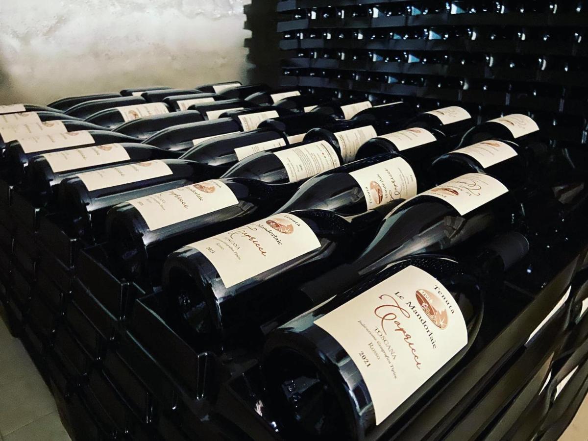 Tenuta Le Mandorlaie, Agriturismo In Scansano Εξωτερικό φωτογραφία