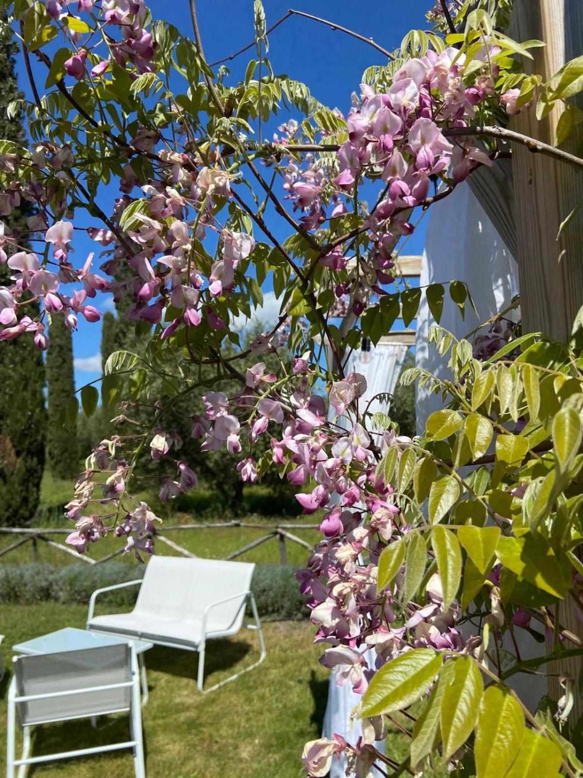 Tenuta Le Mandorlaie, Agriturismo In Scansano Εξωτερικό φωτογραφία