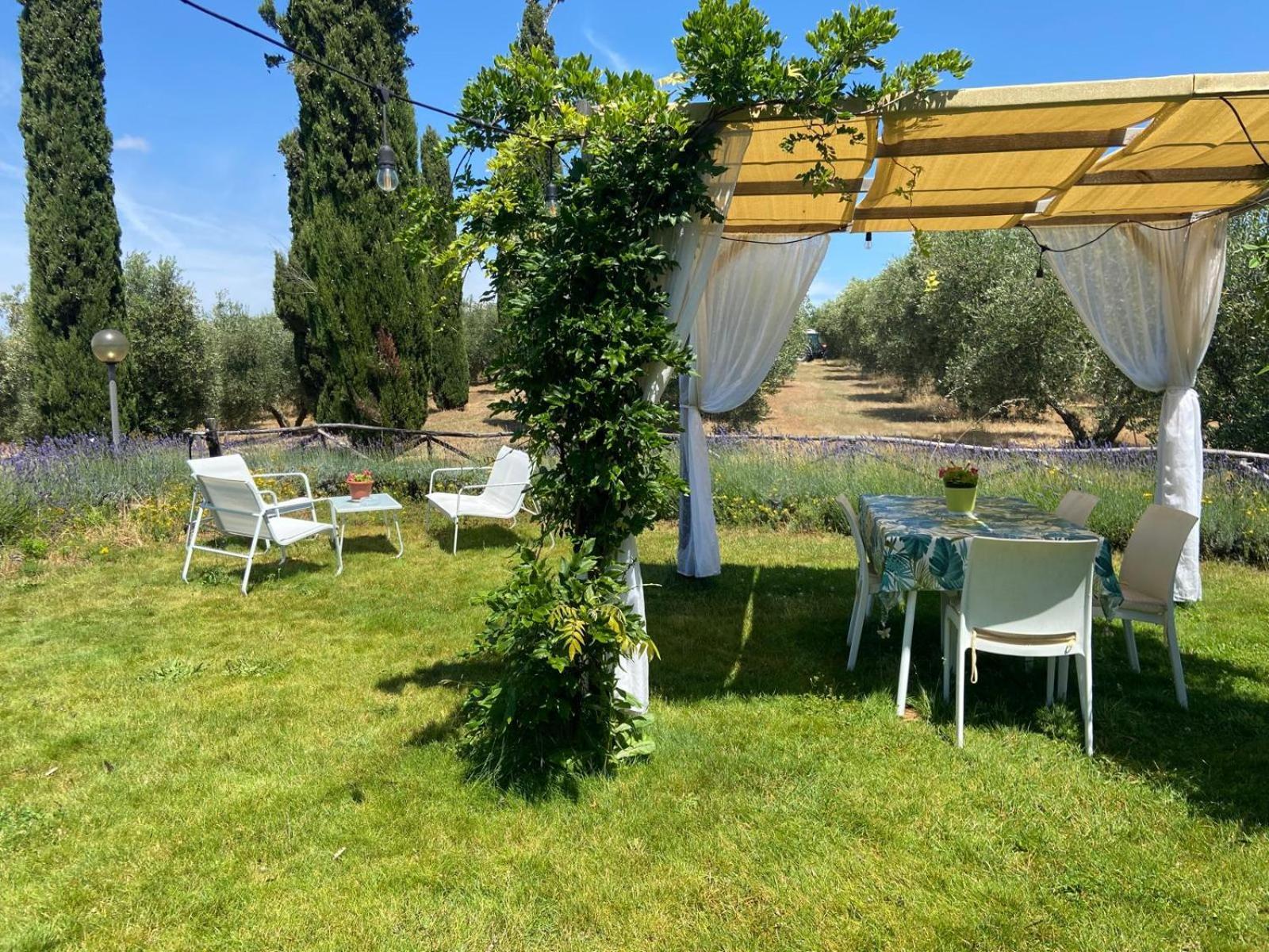 Tenuta Le Mandorlaie, Agriturismo In Scansano Εξωτερικό φωτογραφία