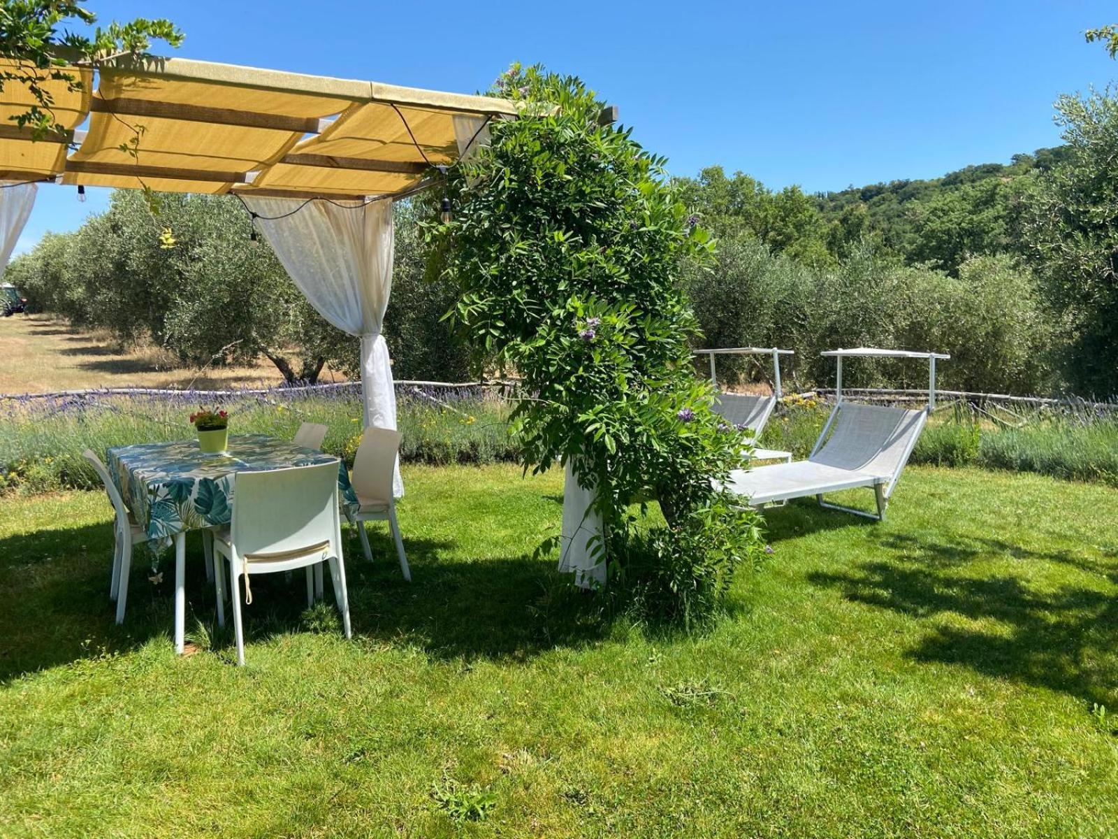 Tenuta Le Mandorlaie, Agriturismo In Scansano Εξωτερικό φωτογραφία