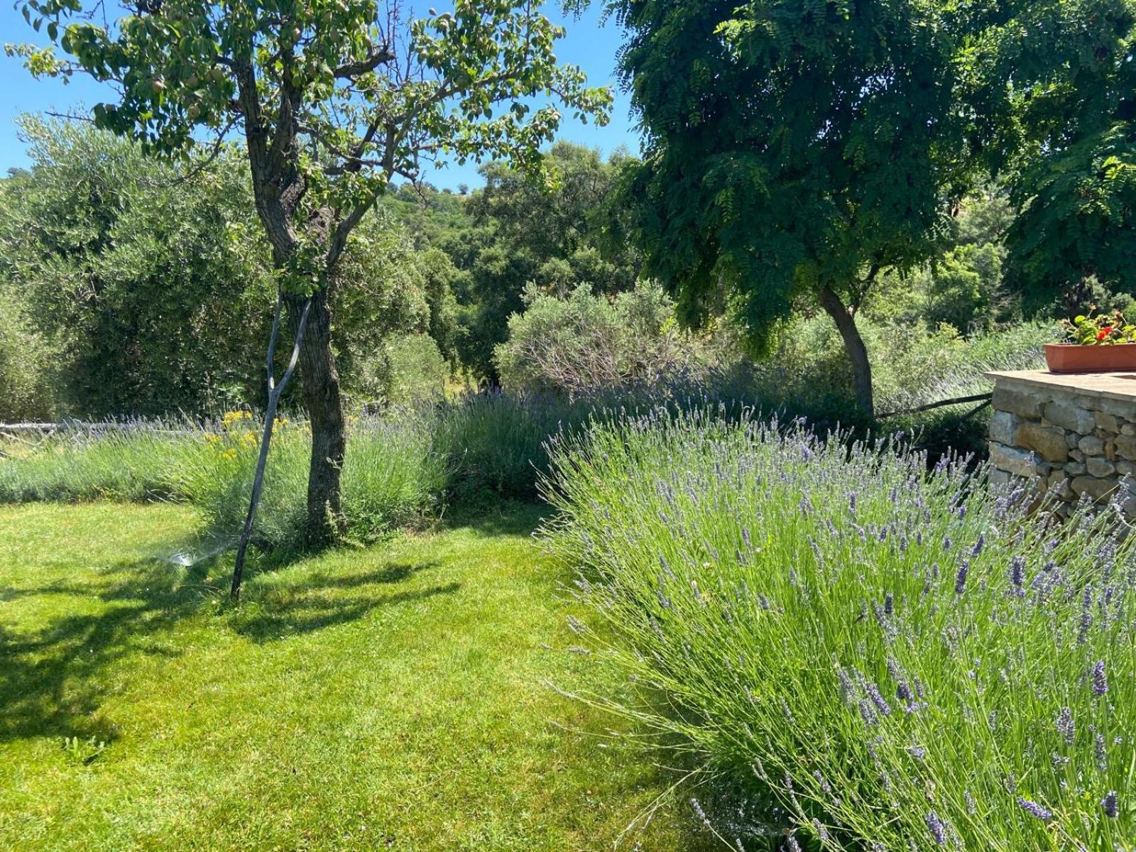 Tenuta Le Mandorlaie, Agriturismo In Scansano Εξωτερικό φωτογραφία